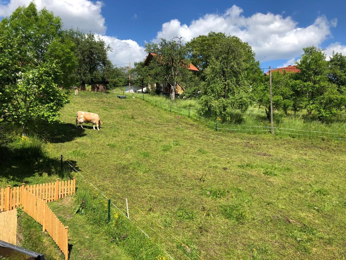 Ferienwohnung Fam. Unterberger Bad Goisern Dış mekan fotoğraf